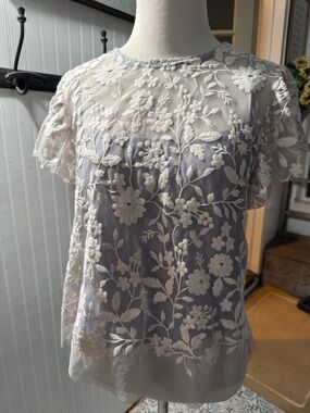 Aqua Ivory Floral Embroidered Sheer Blouse